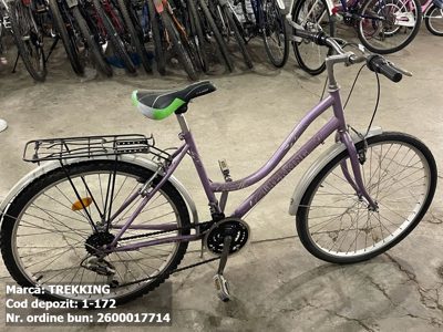 Bicicleta- Trekking