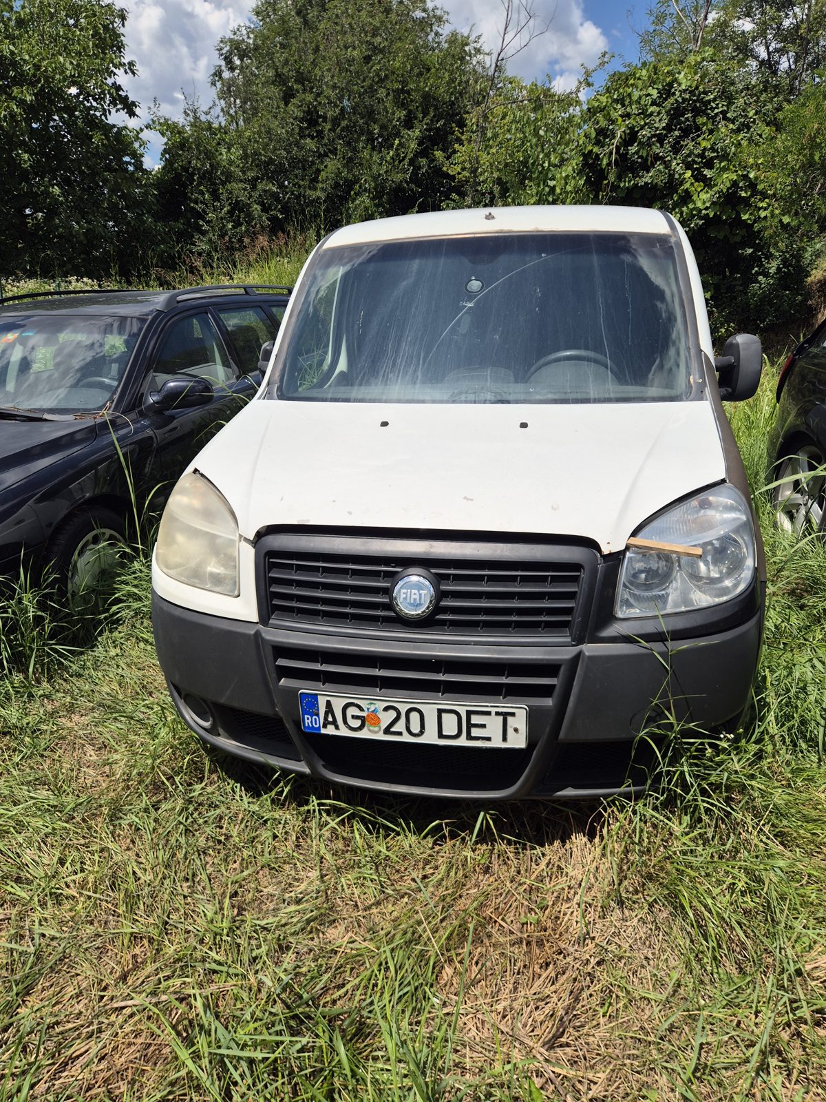 Miniatură 3