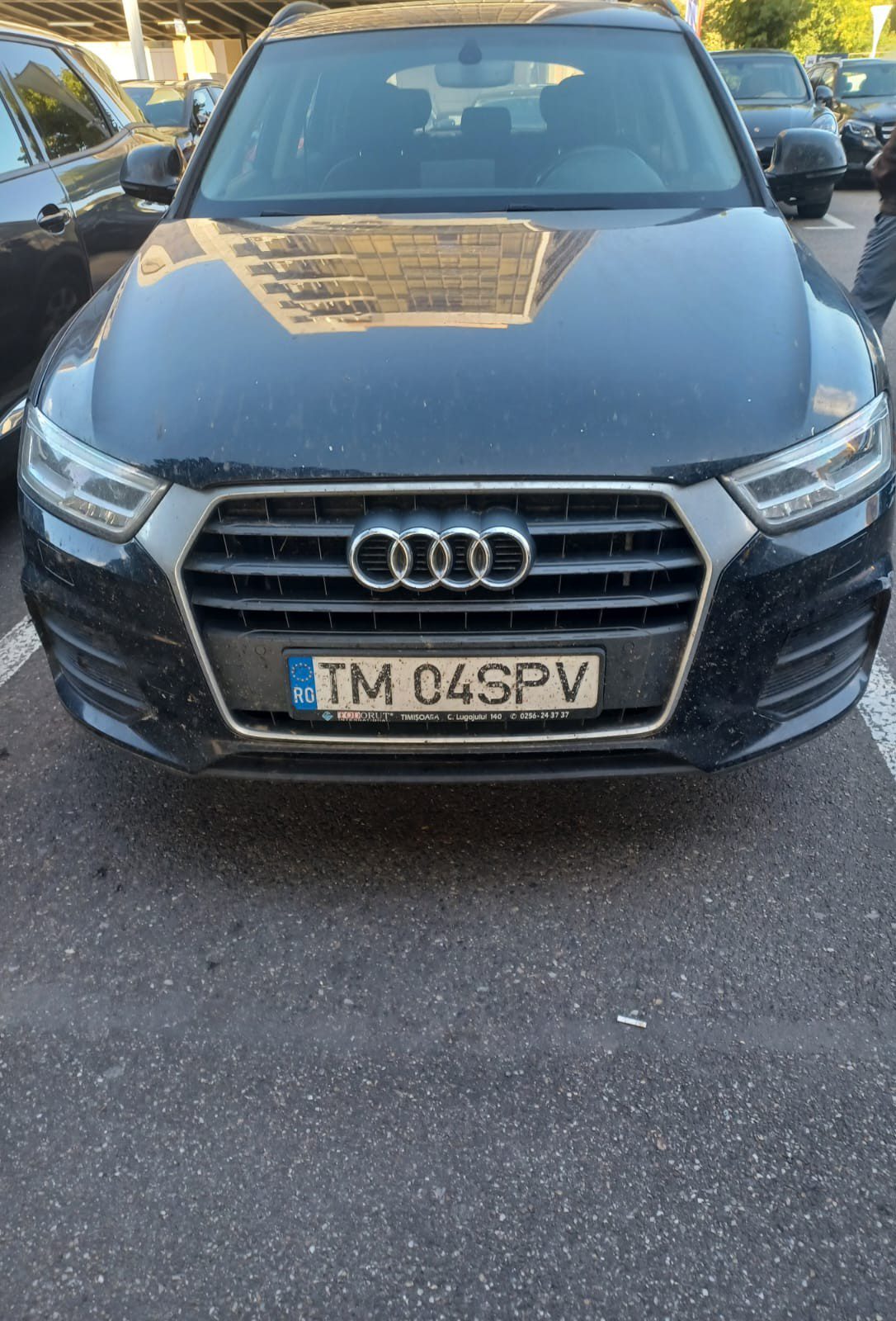 Miniatură 3