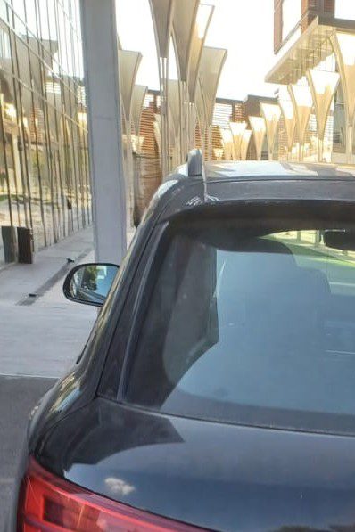 Miniatură 6