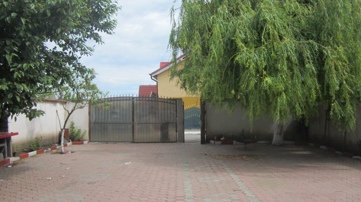 Miniatură 2