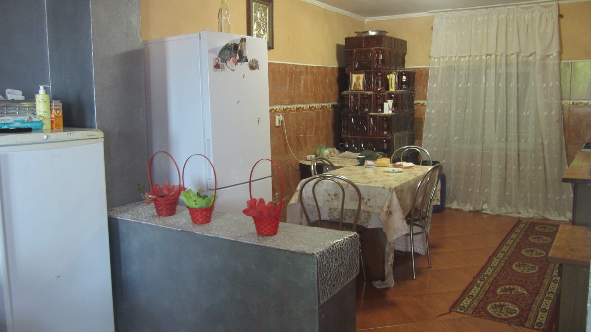 Miniatură 8