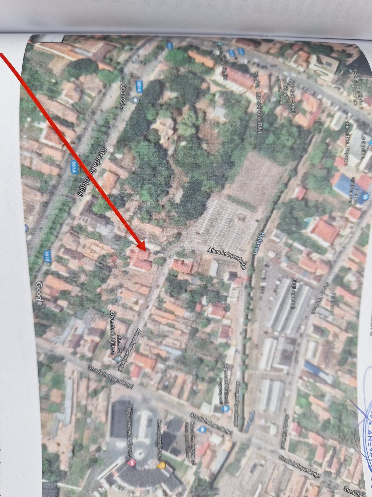 Miniatură 10