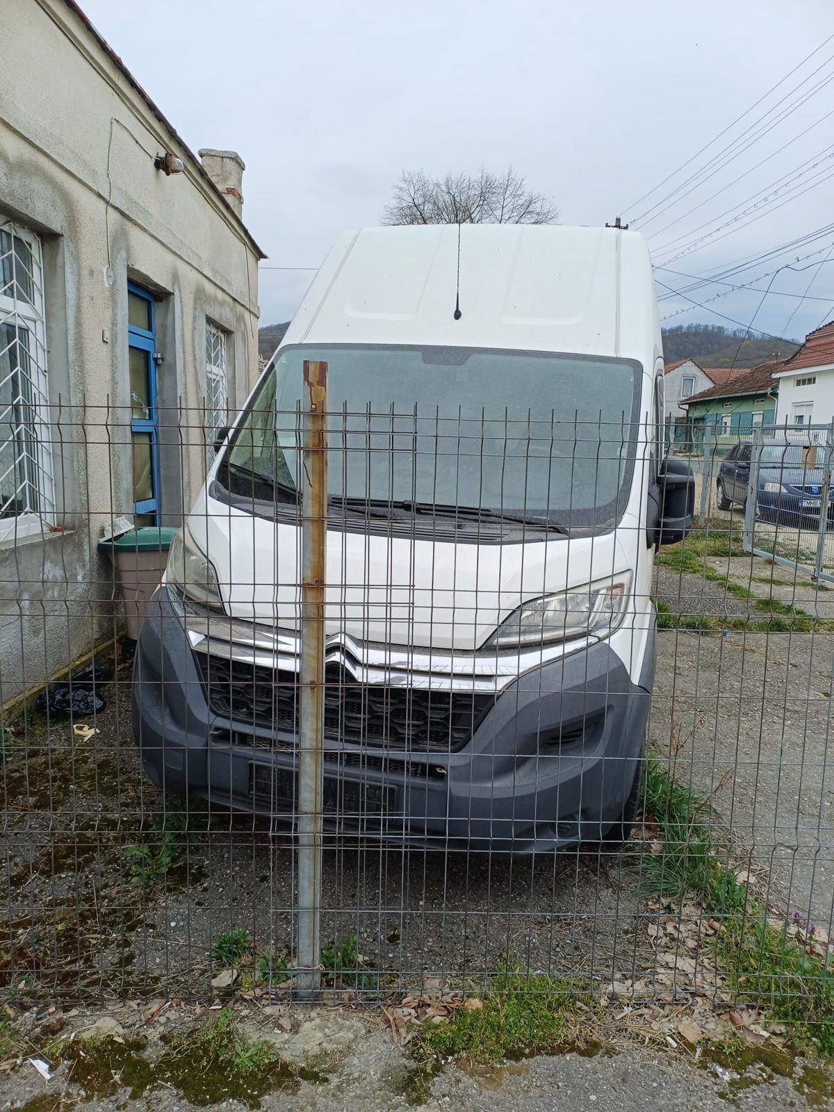 Miniatură 4