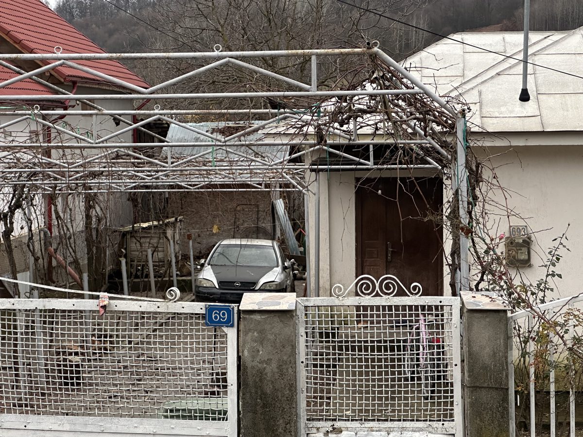 Miniatură 2