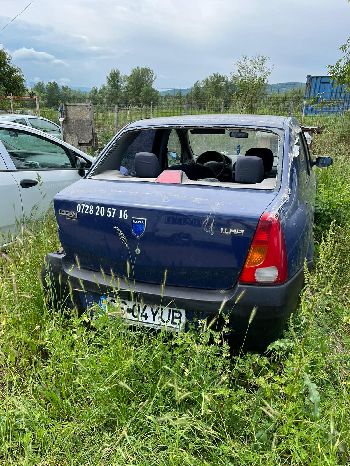 Miniatură 3