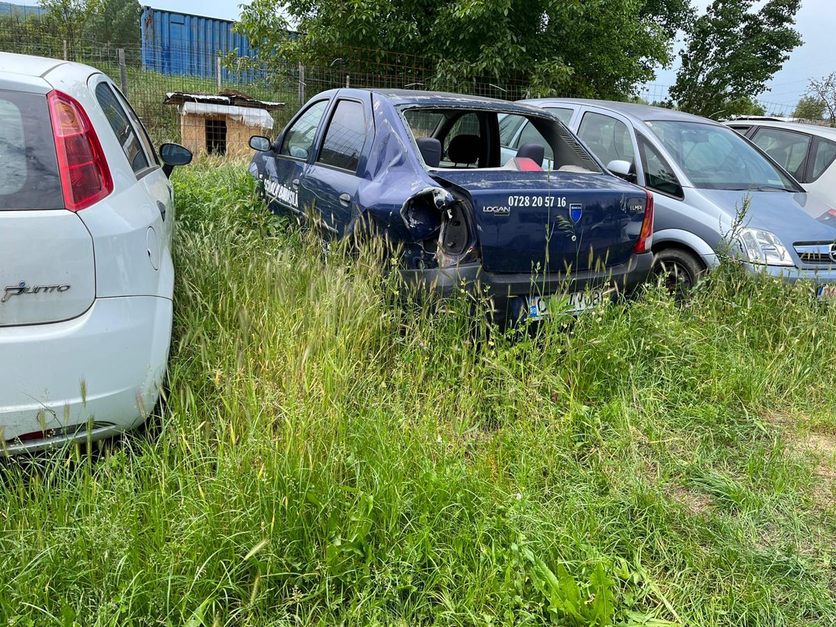 Miniatură 4