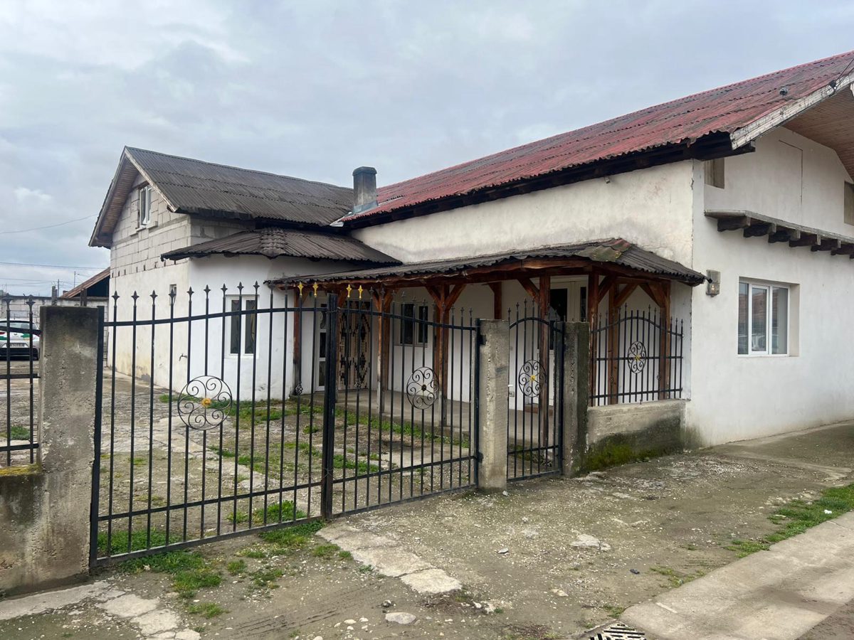 Miniatură 2