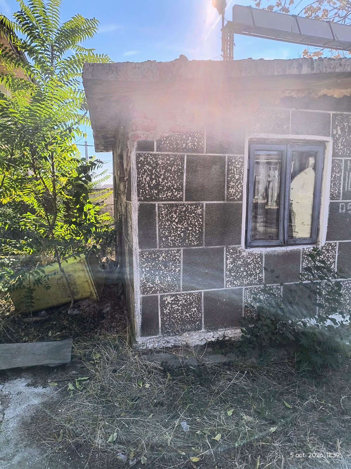 Miniatură 6