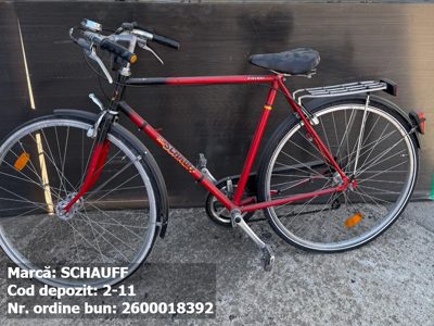Bicicleta- Schauff Ravenna