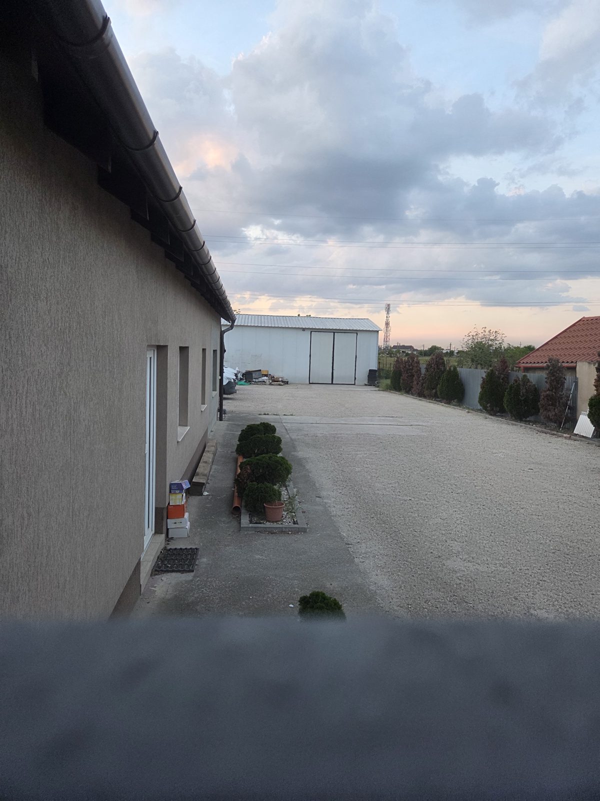 Miniatură 6