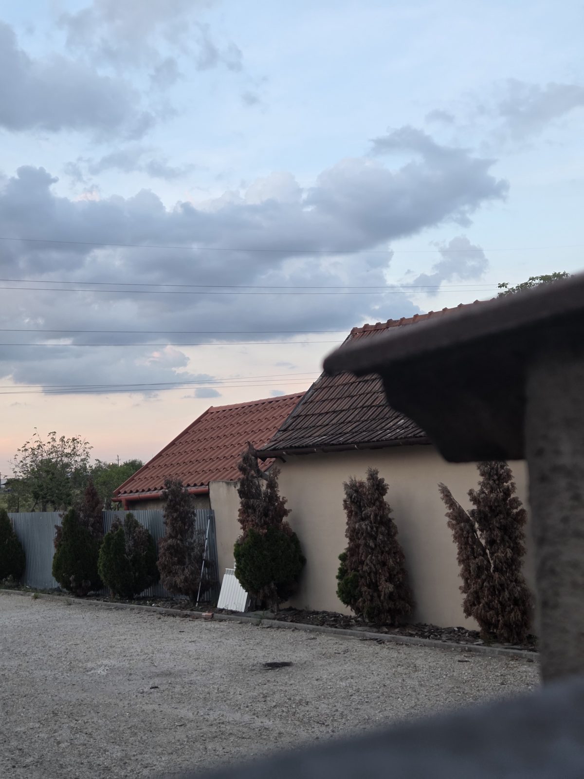 Miniatură 9