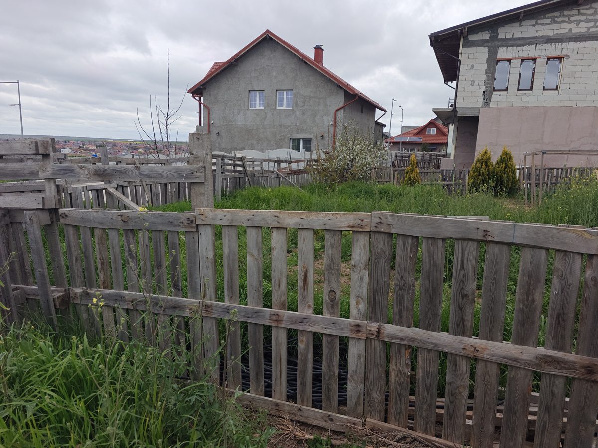 Miniatură 2