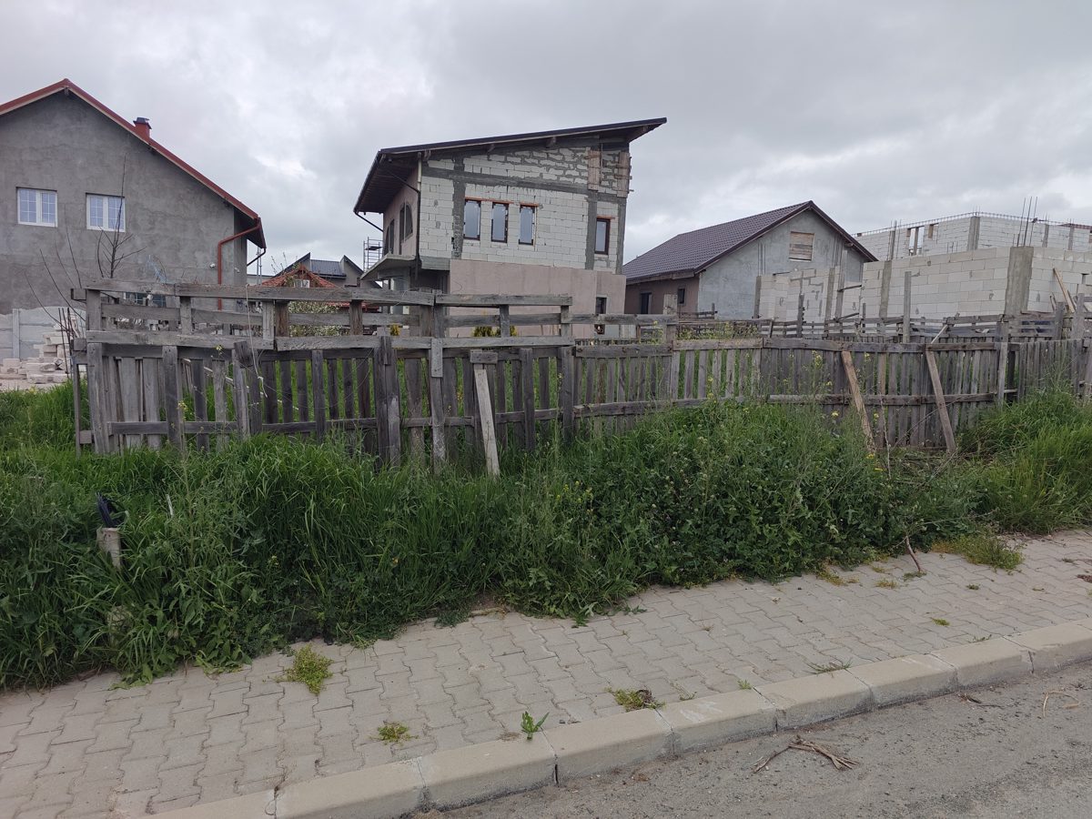 Miniatură 5