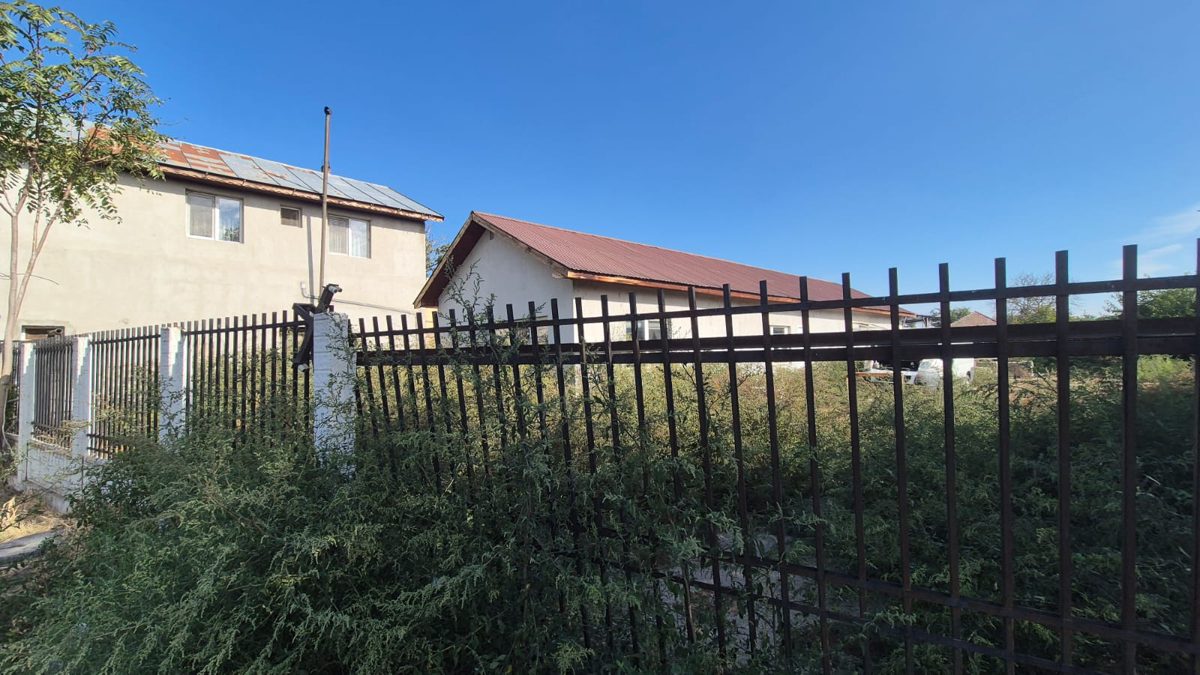 Miniatură 4
