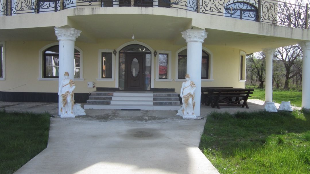 Miniatură 3