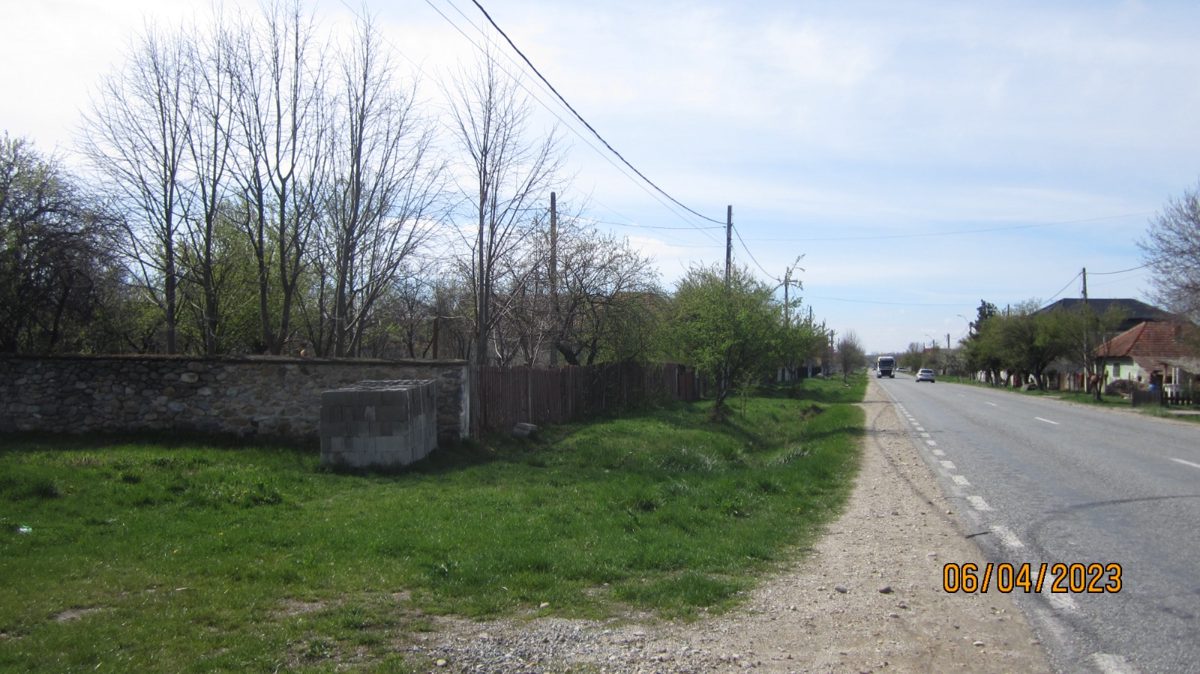 Miniatură 7