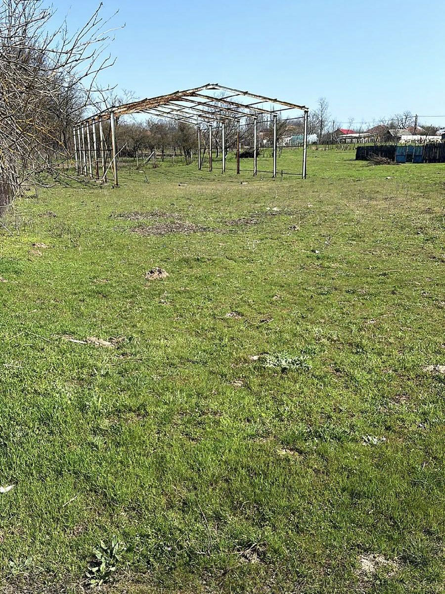 Miniatură 2