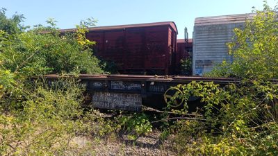 Vagon 825335577136 - Vagon marfa FALS (1988)