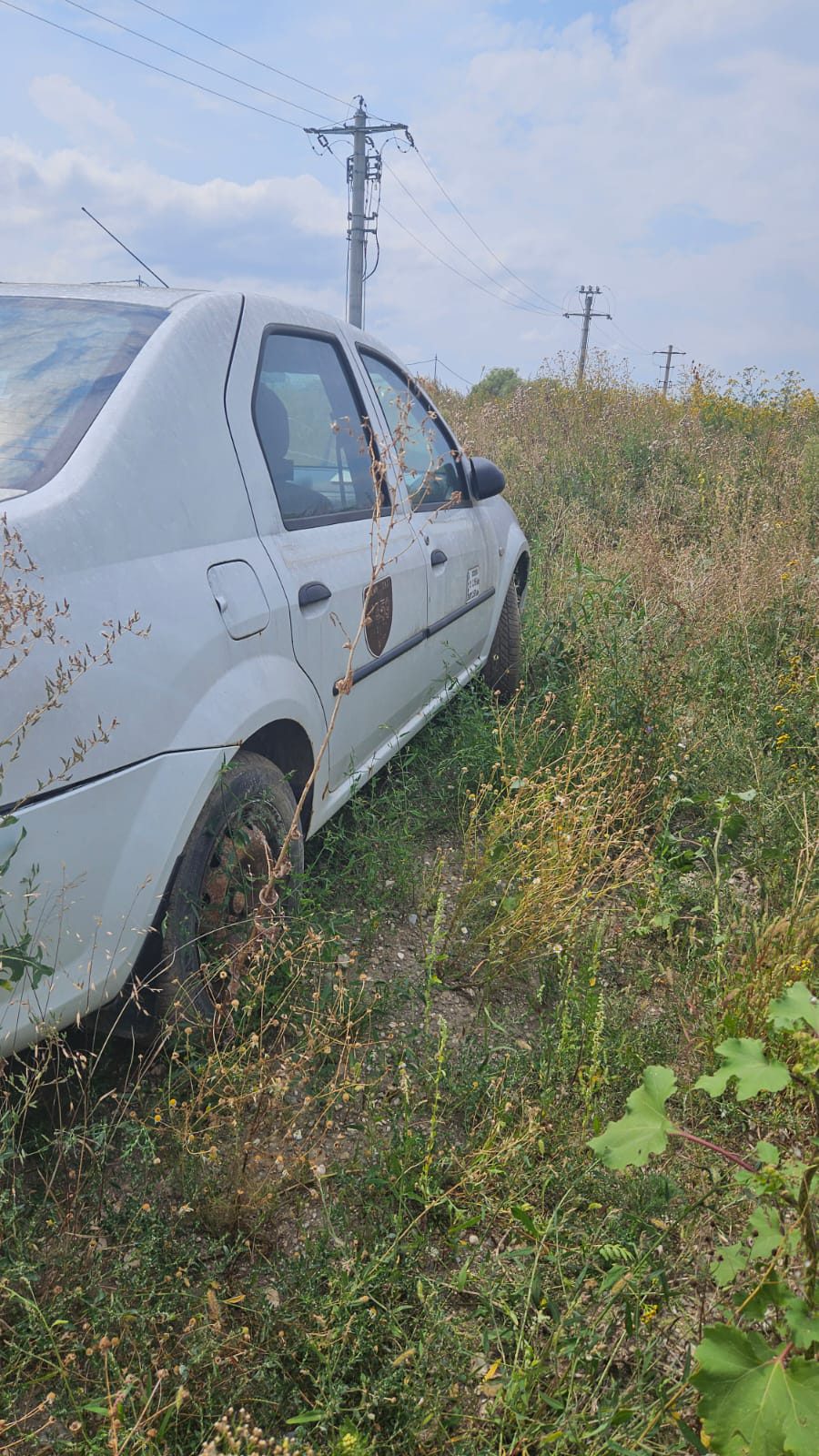 Miniatură 3