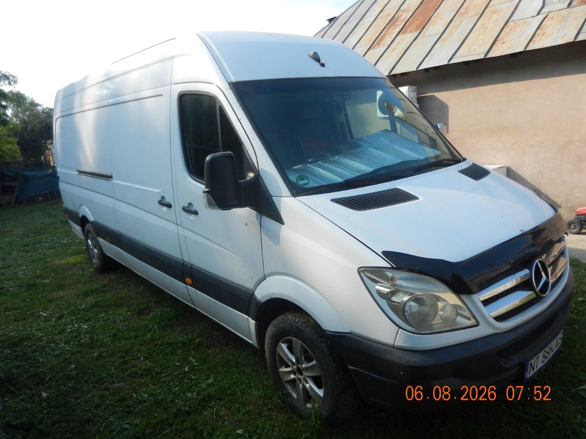 Miniatură 2