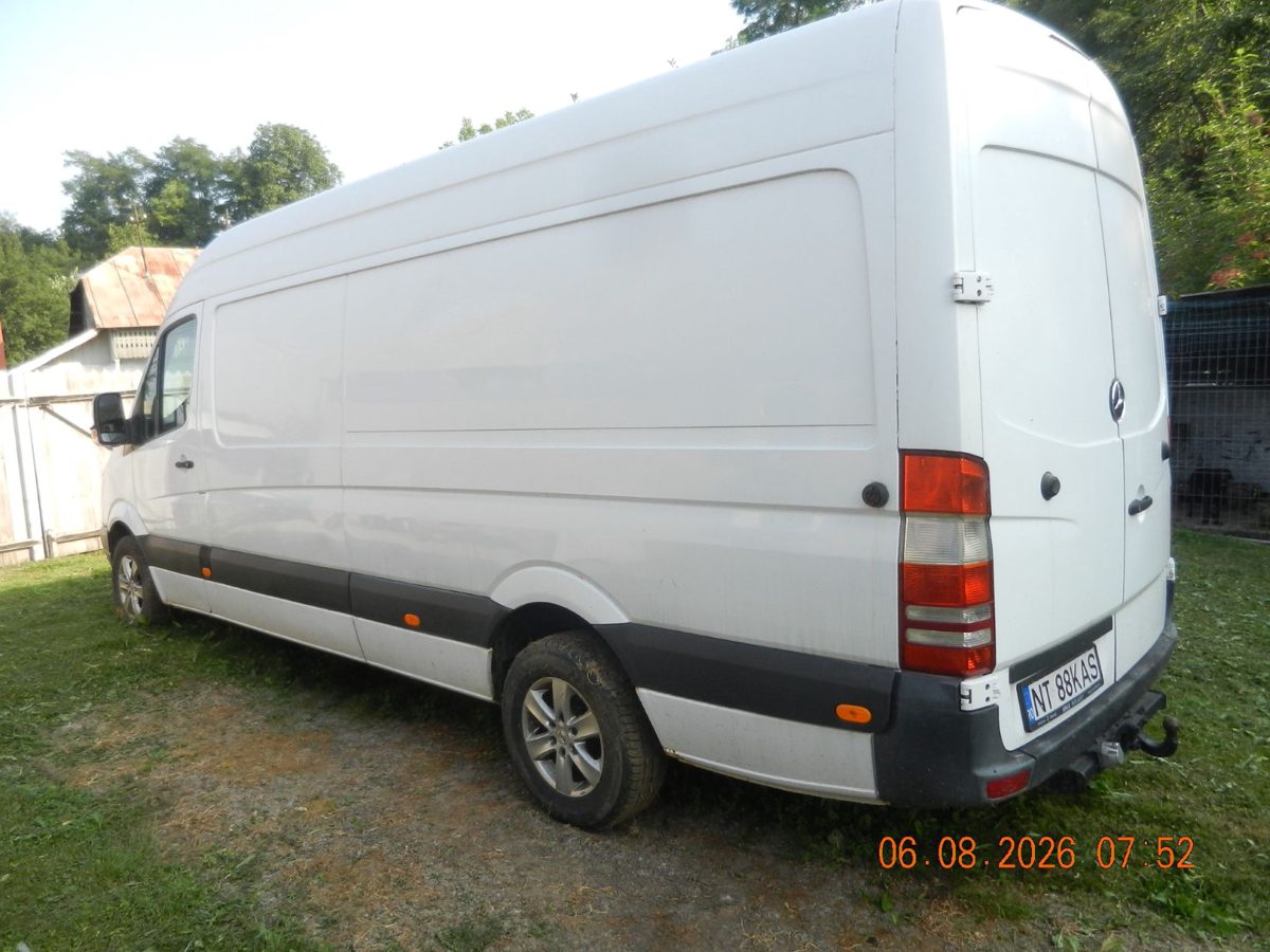 Miniatură 3
