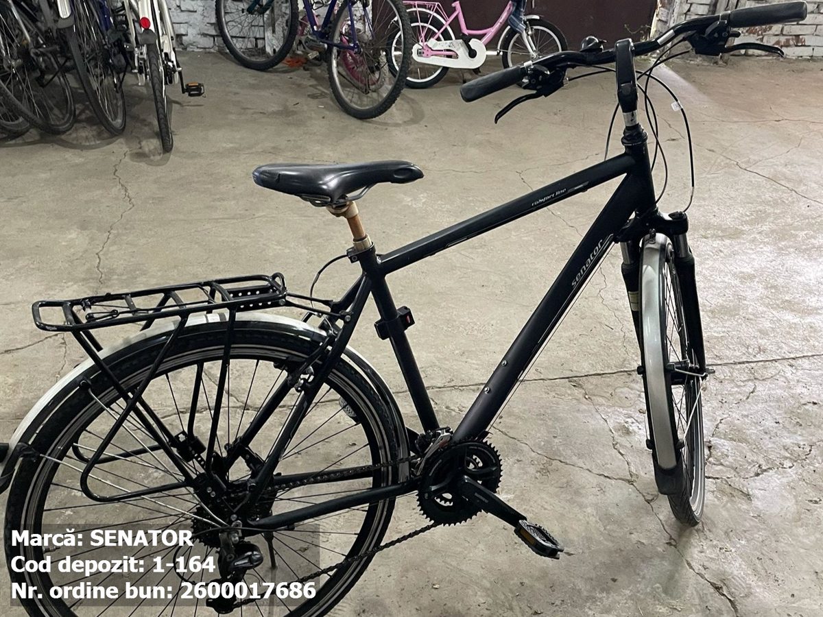 Bicicleta- Senator 1