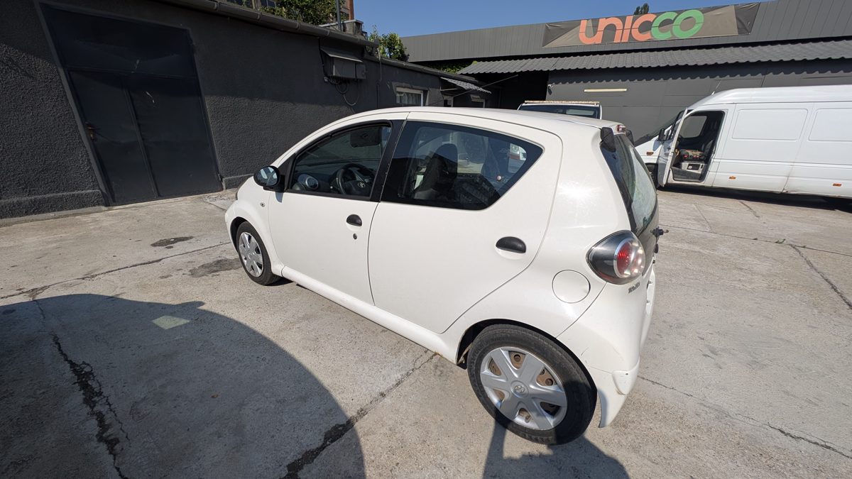 Miniatură 6