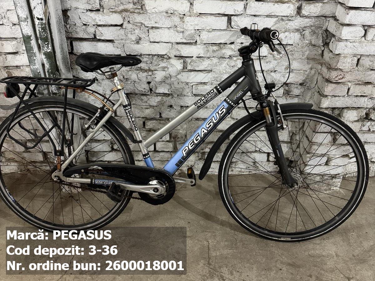 Bicicleta - Pegasus 1