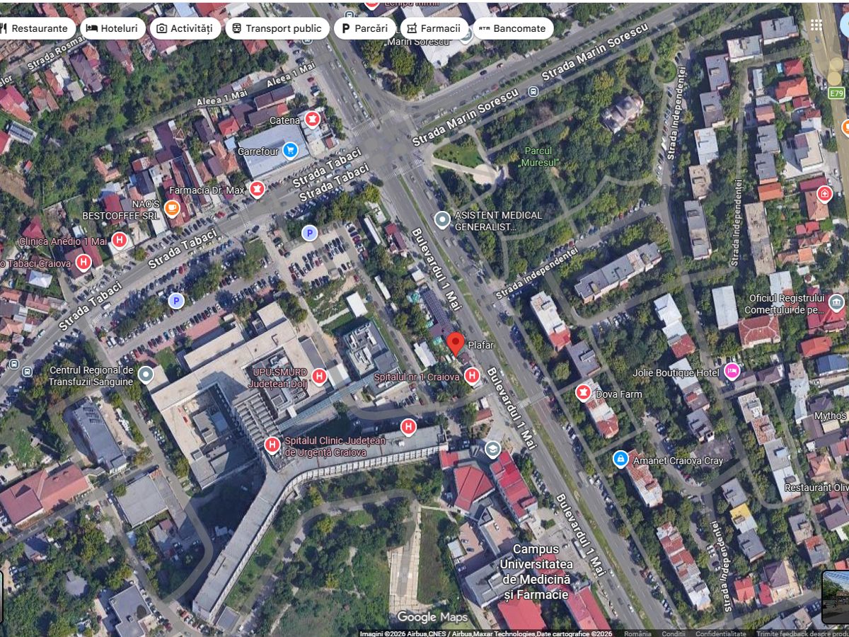 Miniatură 5