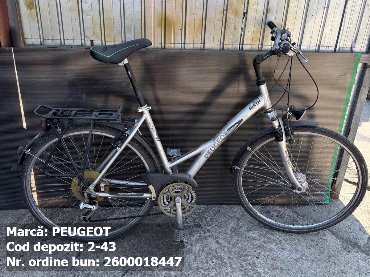 Bicicleta- Peugeot 1