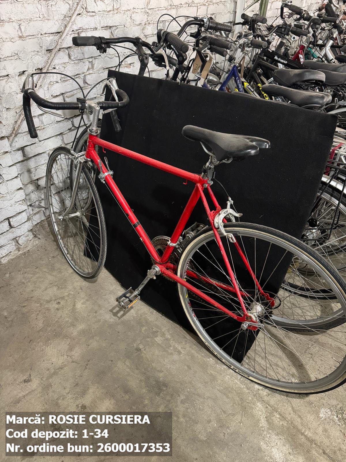 Bicicleta Rosie 1