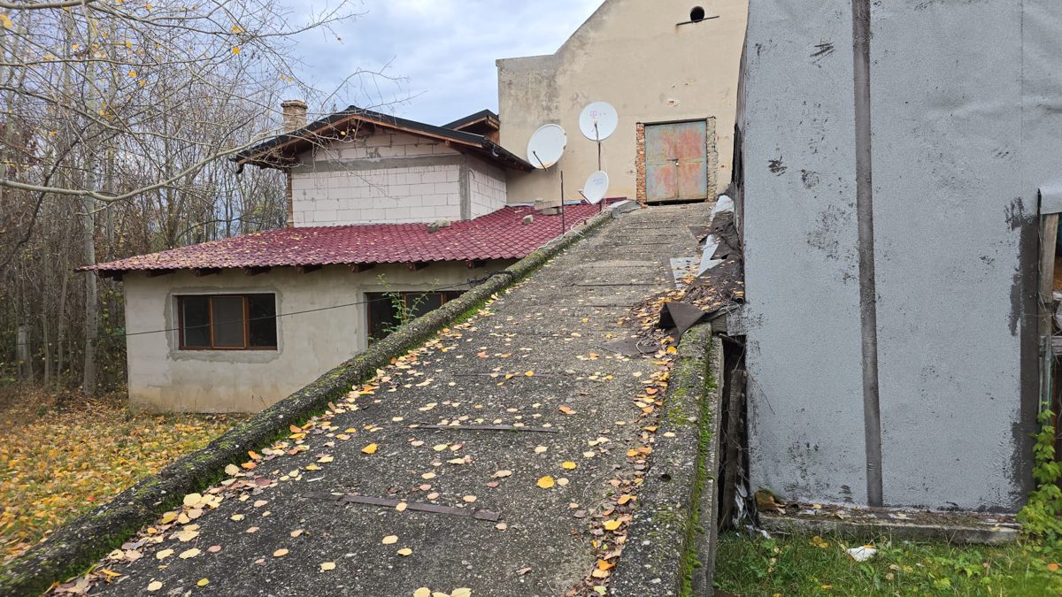 Miniatură 2