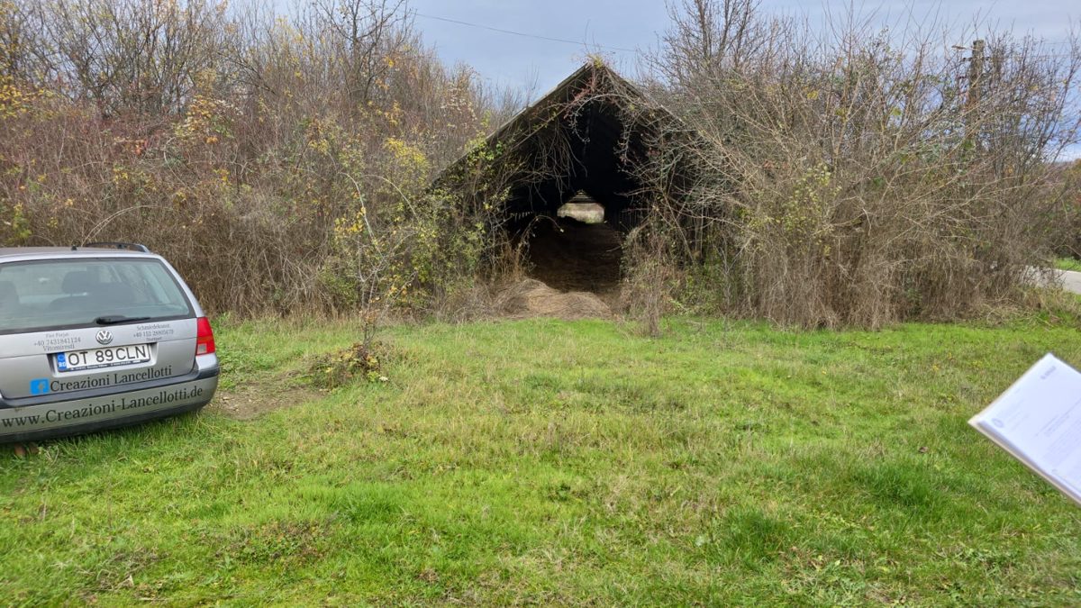 Miniatură 9