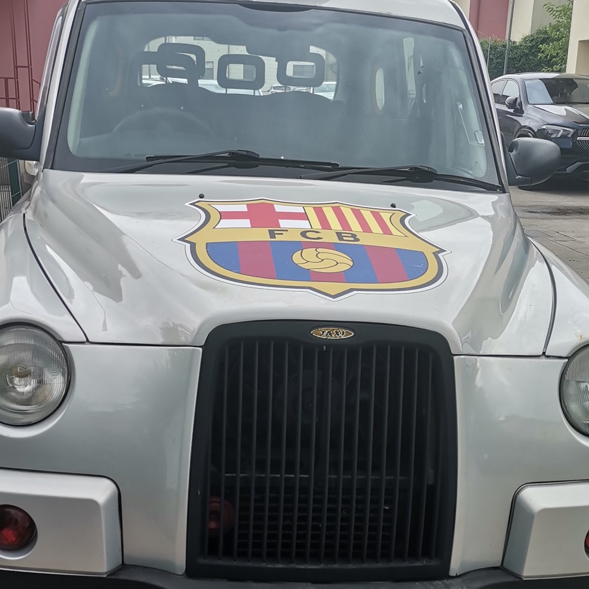 Miniatură 4