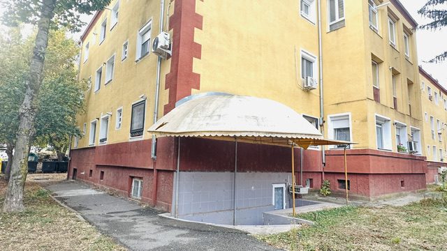 Miniatură 11