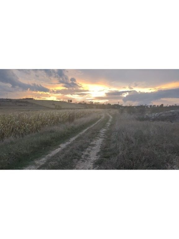 Teren intravilan categorie de folosinta arabil, situat in Loc.Deusu, Com.Chinteni, Jud.Cluj 1