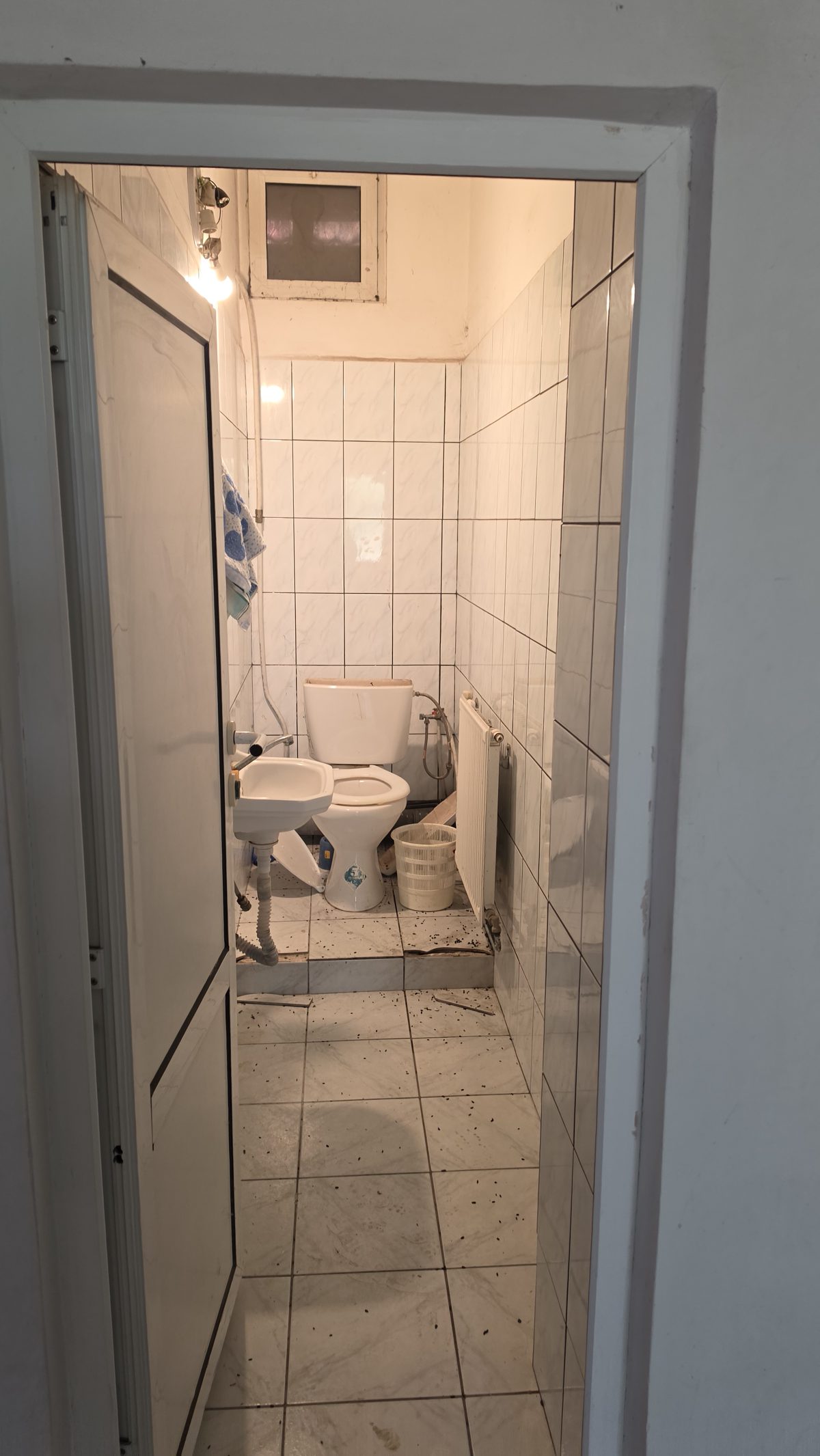 Miniatură 2