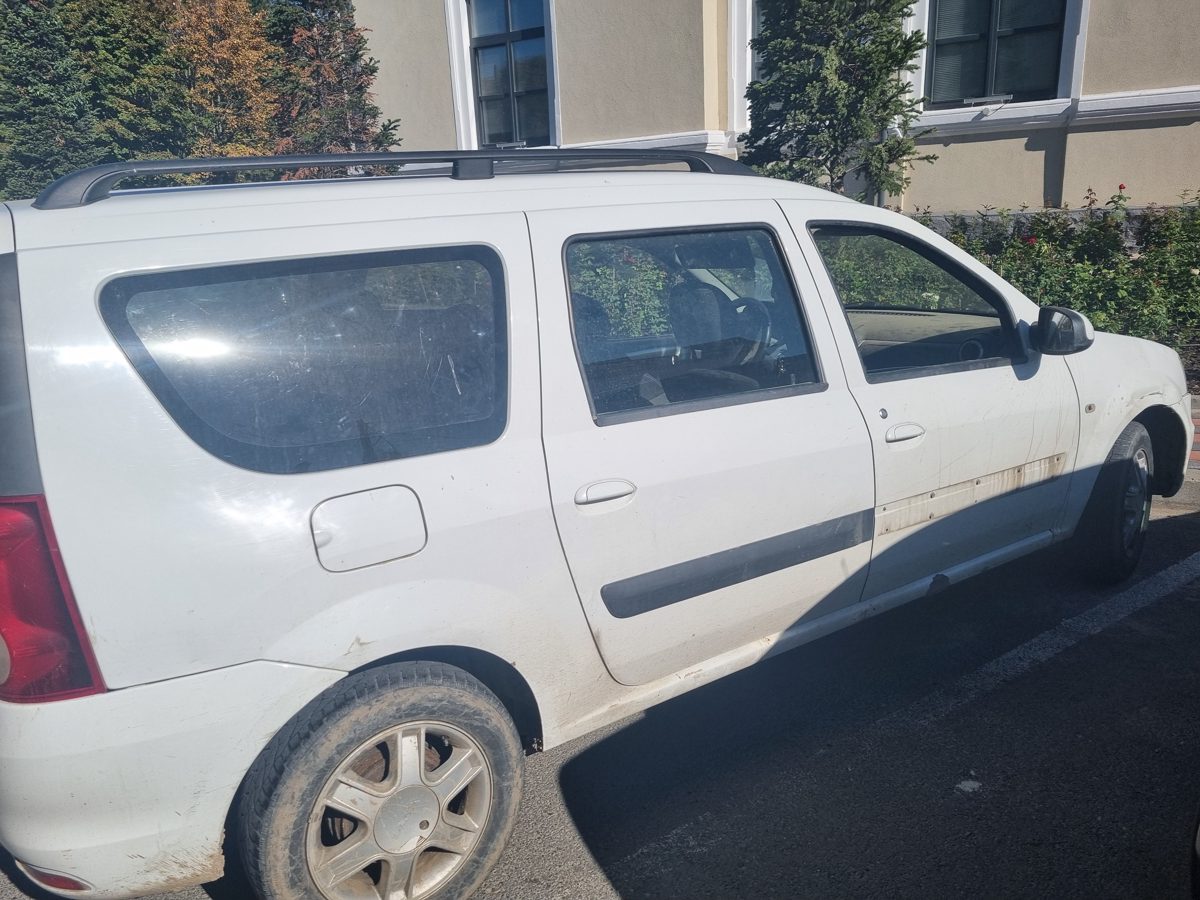 Miniatură 2