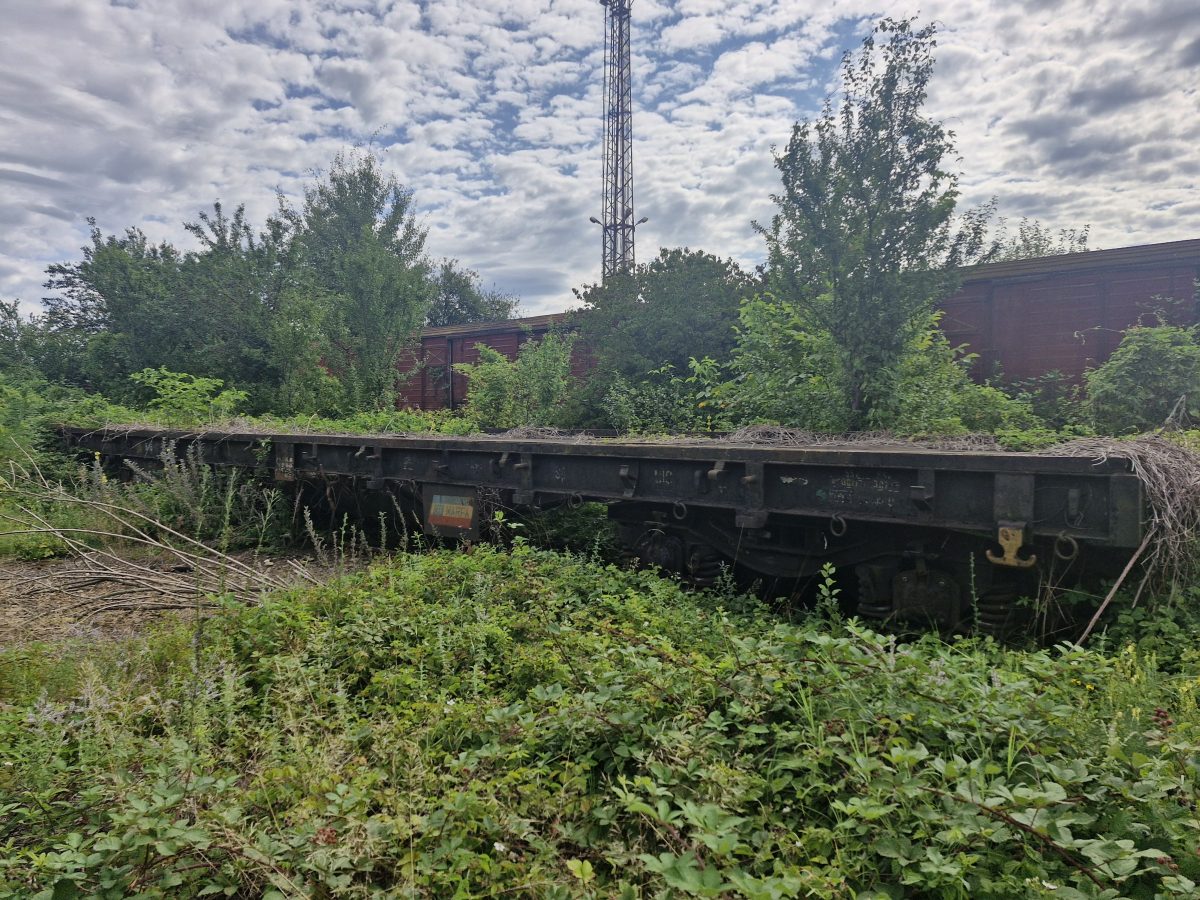 Miniatură 4