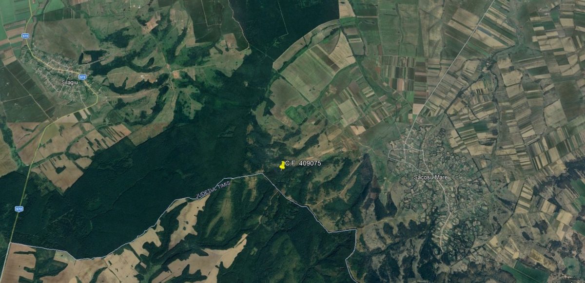 Padure - in suprafata de 1600 MP 1