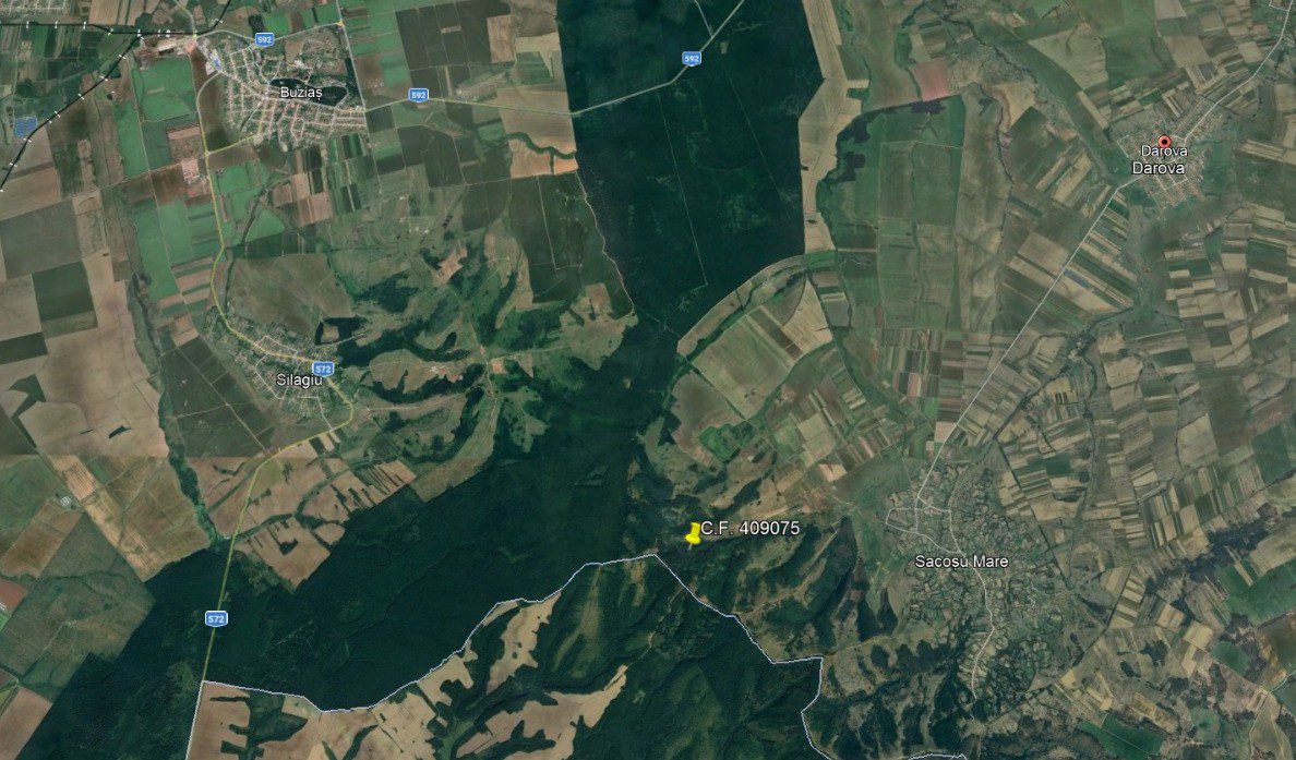 Miniatură 5