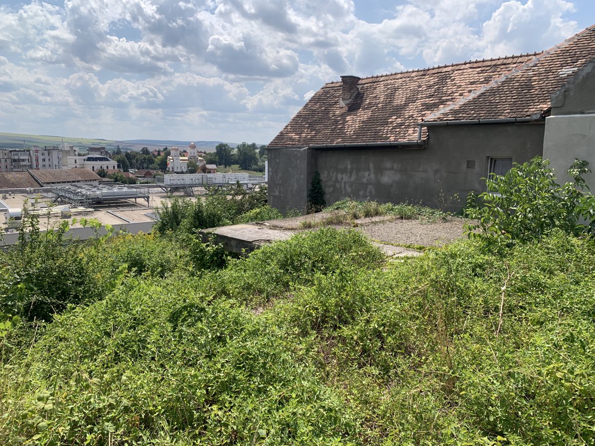 Miniatură 4