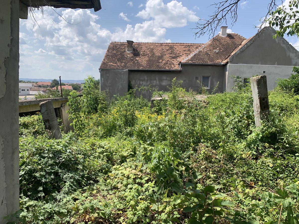 Miniatură 5