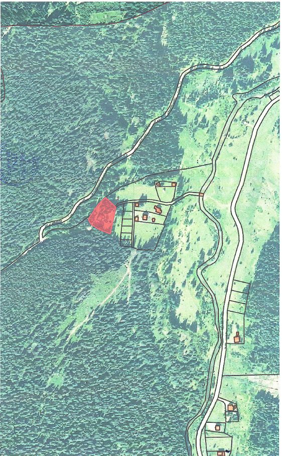 Miniatură 6