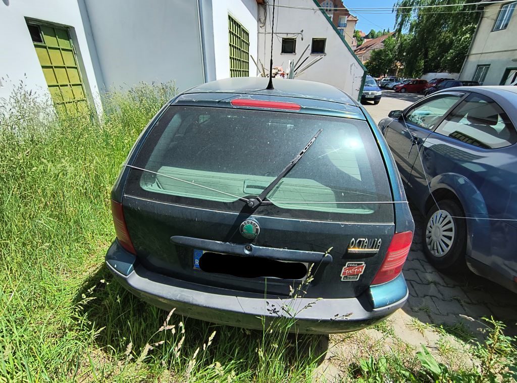 Miniatură 3