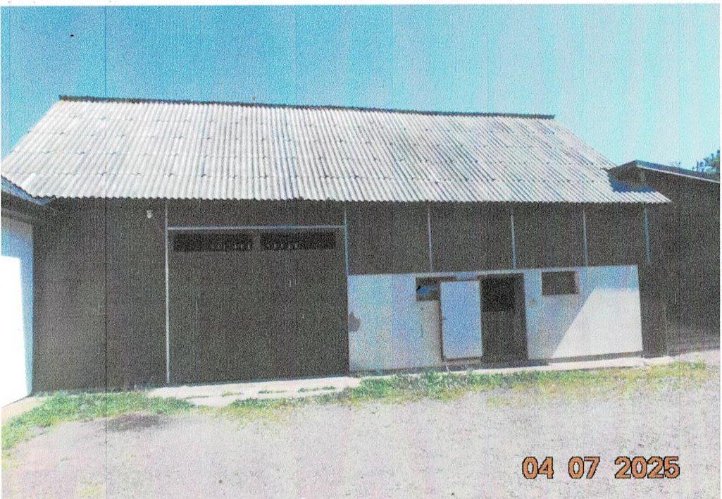 Miniatură 4
