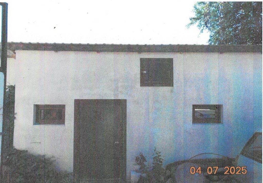 Miniatură 7