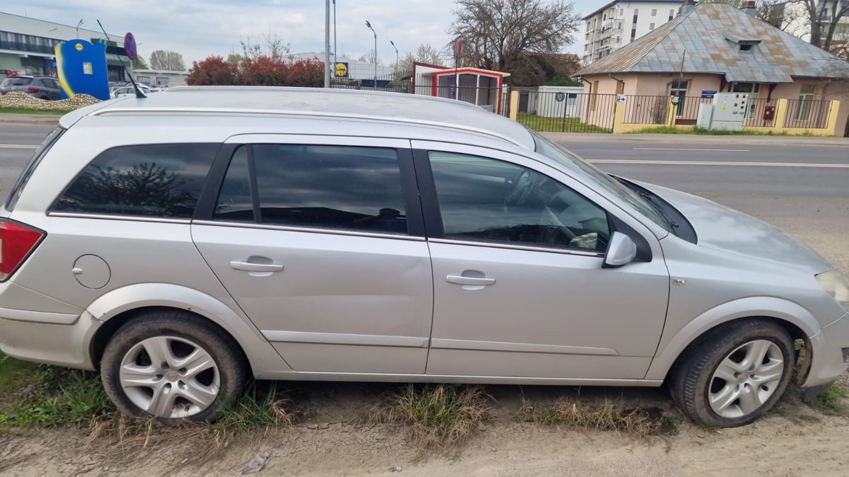 Miniatură 6