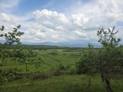 Teren extravilan, in suprafata de 176 mp, situat in loc Ghighiseni, jud Bihor